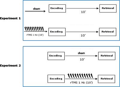 Transcranial Magnetic Stimulation Trains at 1 Hz Frequency of the Right Posterior Parietal Cortex Facilitate Recognition Memory